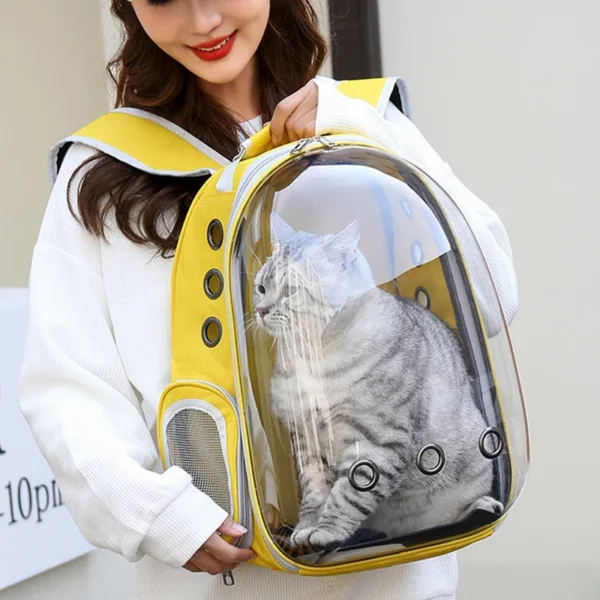 Airflow Clear Pet Carrier Backpack for Cats & Dogs